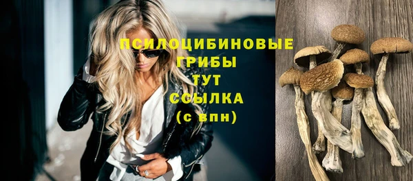 дживик Михайловск