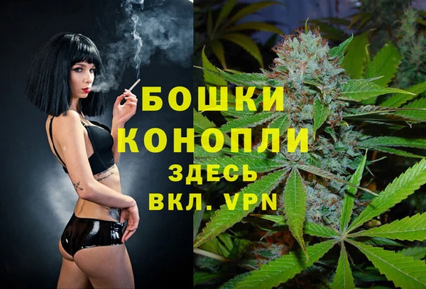 первитин Михайлов