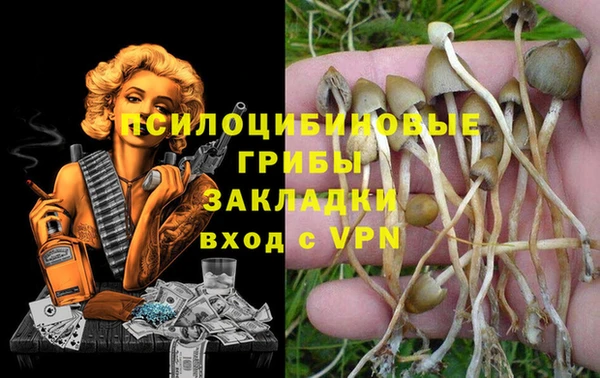 ALPHA-PVP Медвежьегорск