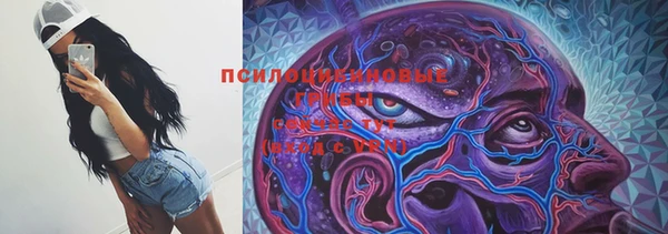 дживик Михайловск
